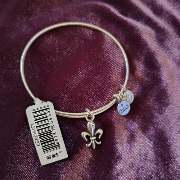 🆕 Alex and Ani French Royalty bangle - Picture 3 of 3
